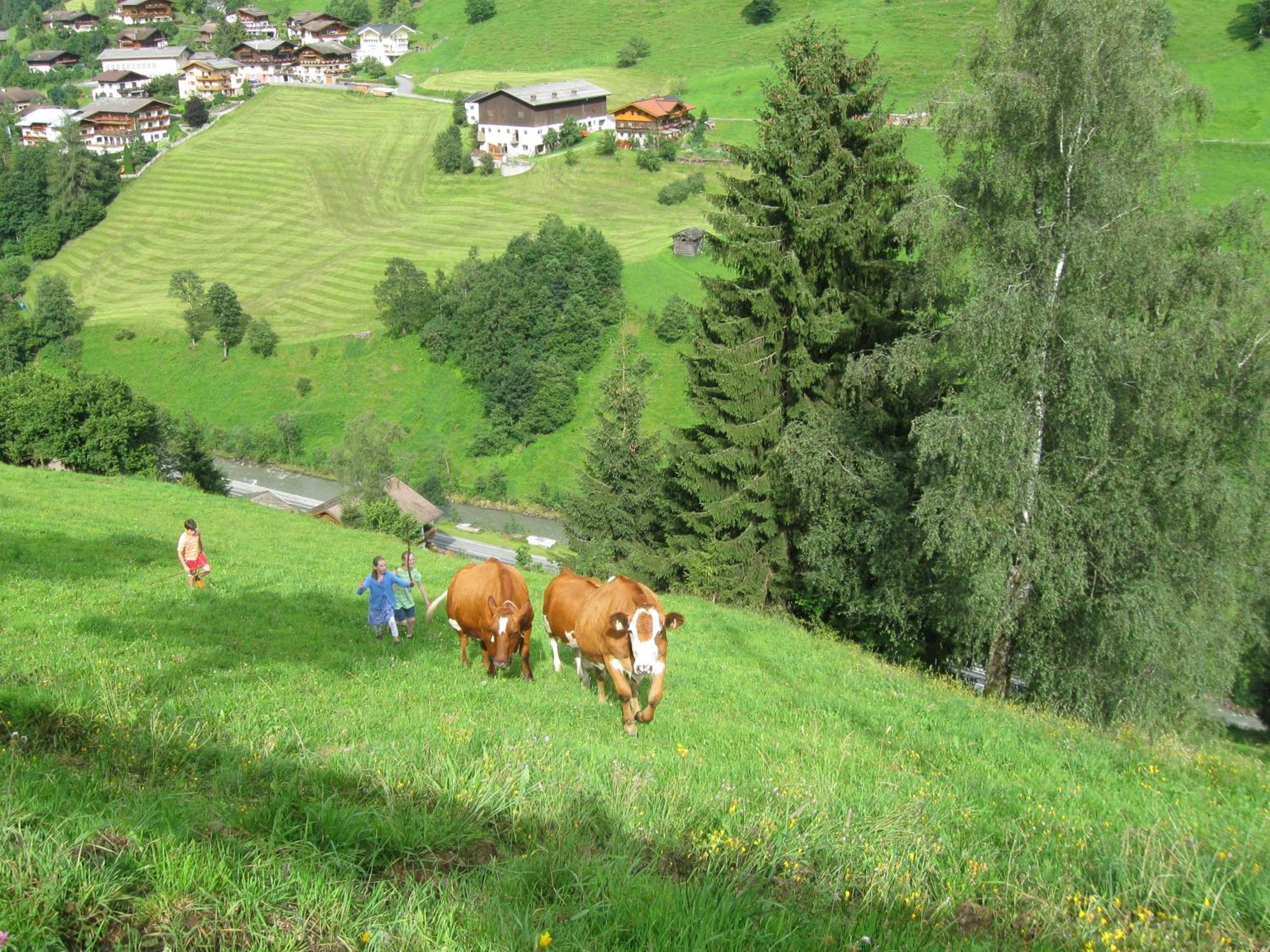Schaidreithof Grossarl Exteriér fotografie