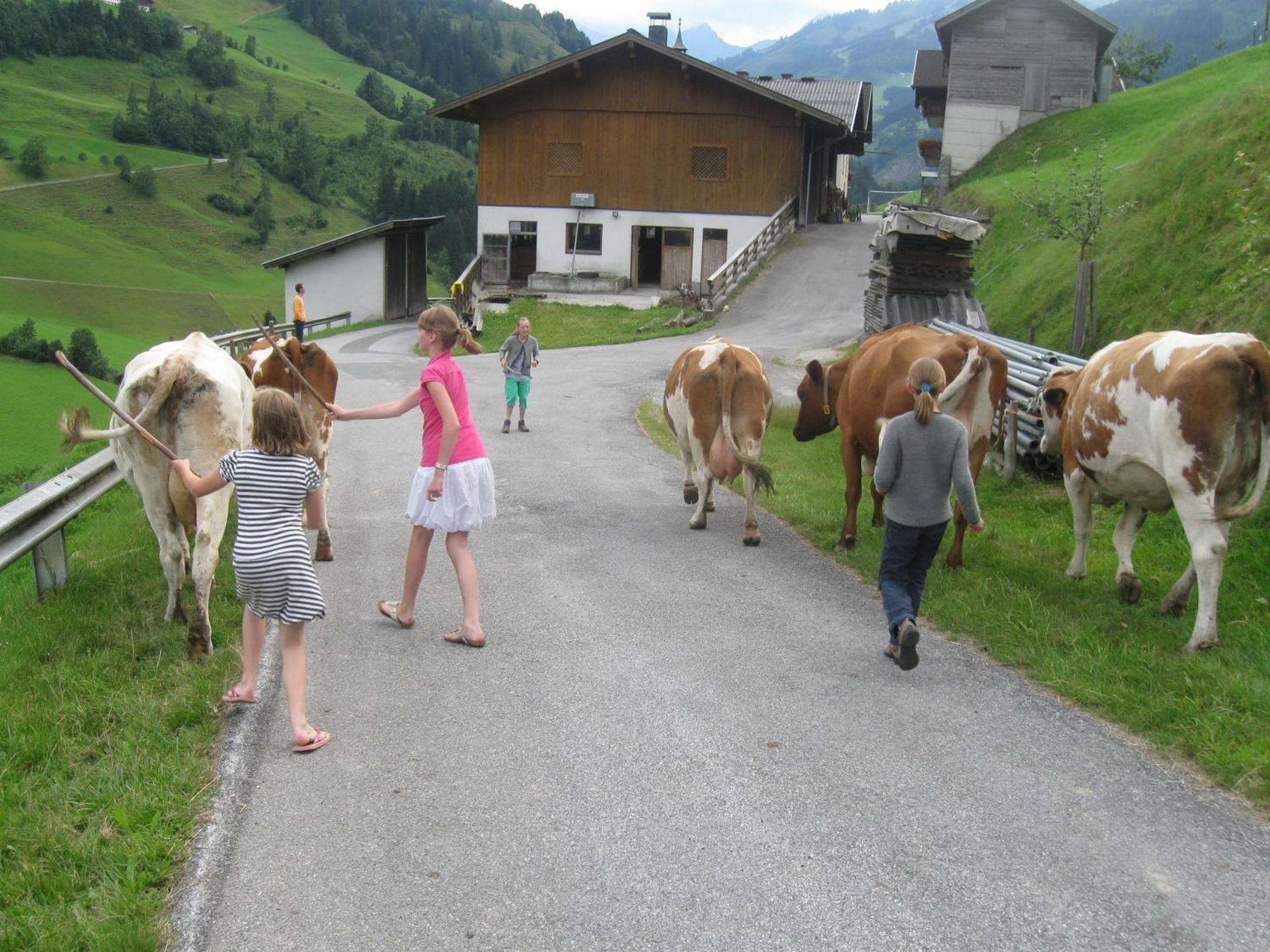Schaidreithof Grossarl Exteriér fotografie