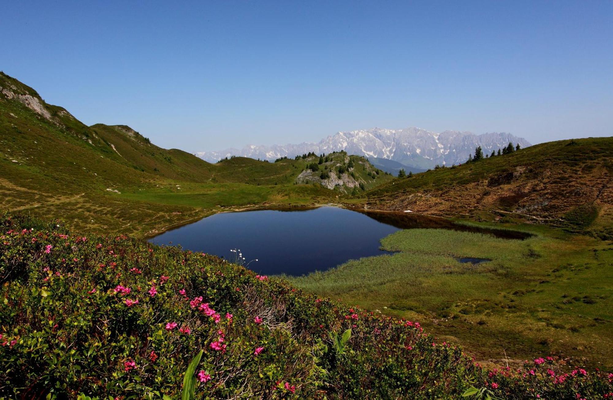 Schaidreithof Grossarl Exteriér fotografie