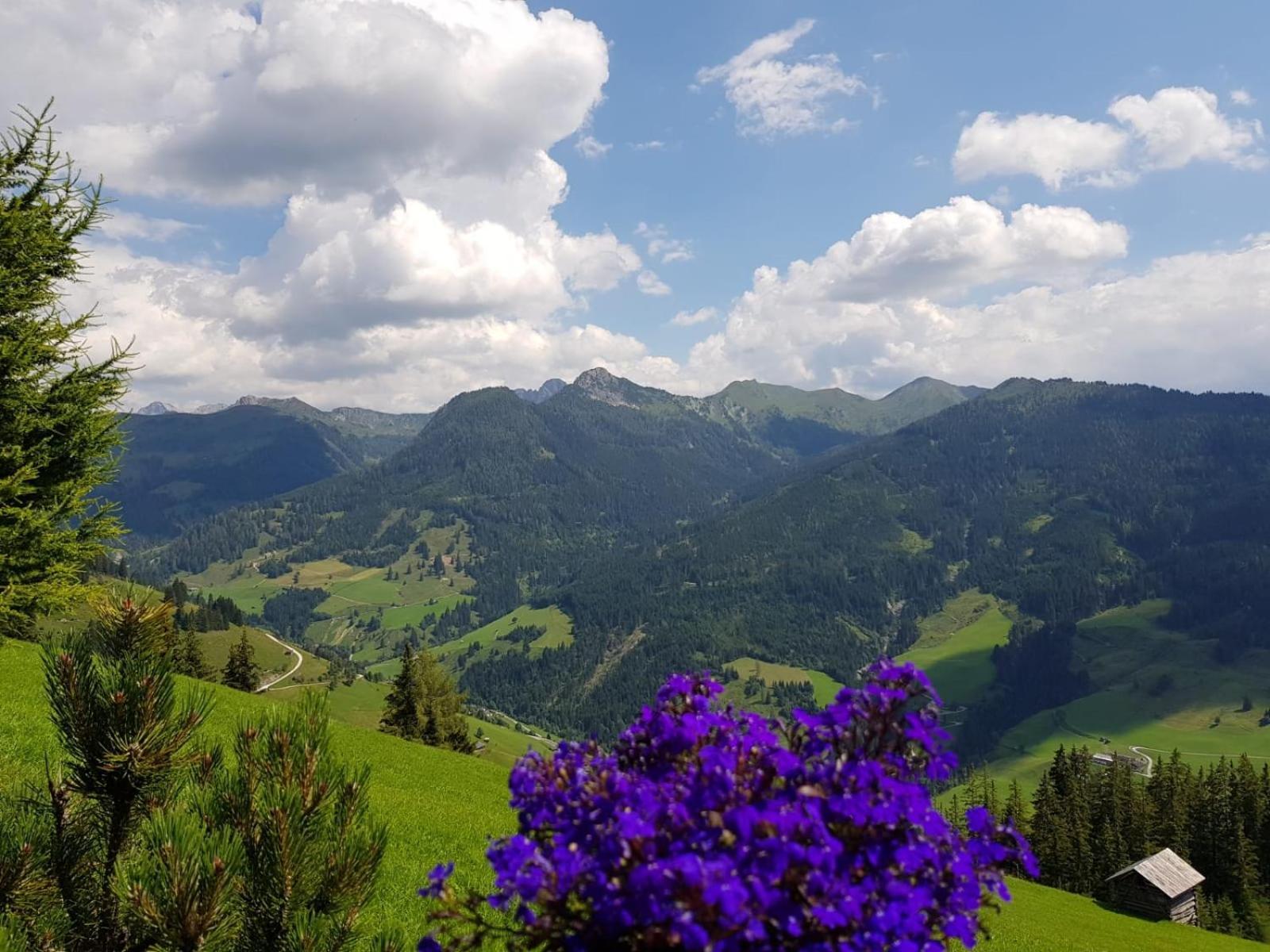 Schaidreithof Grossarl Exteriér fotografie